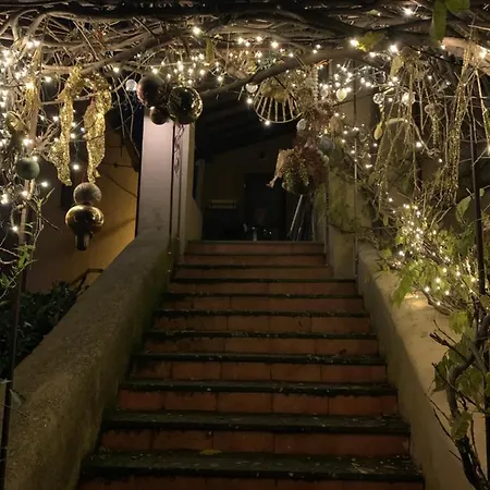 La Casa Di Zoe-artandtravel Montefiascone